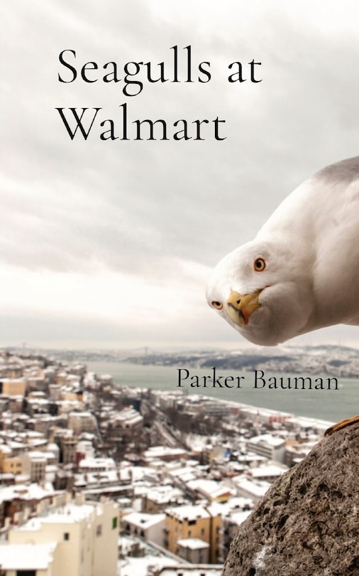 Front cover_Seagulls at Walmart