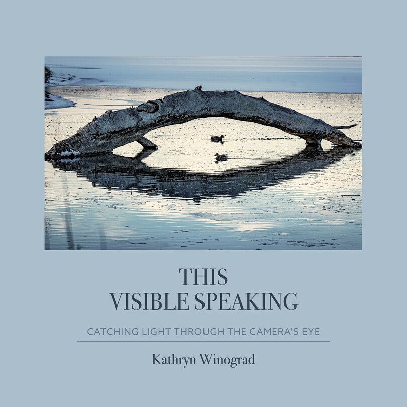 Front cover_This Visible Speaking