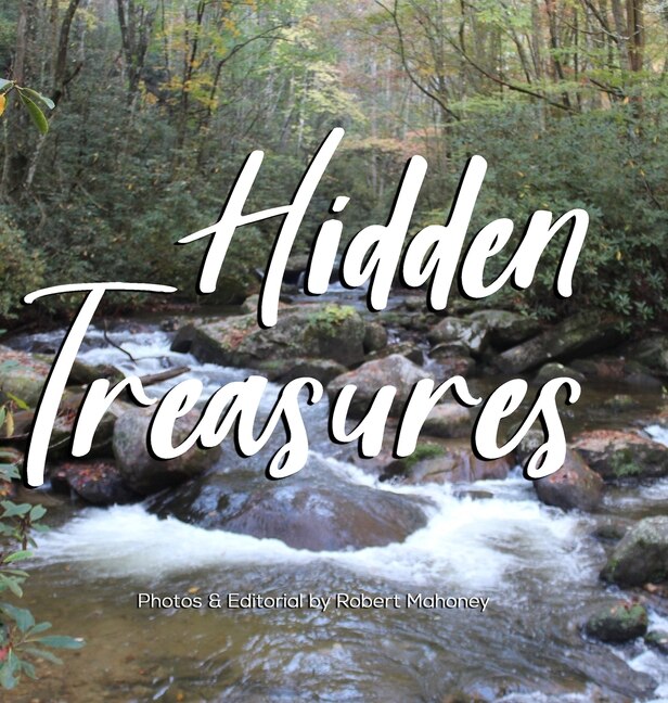 Couverture_Hidden Treasures