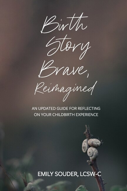 Front cover_Birth Story Brave, Reimagined