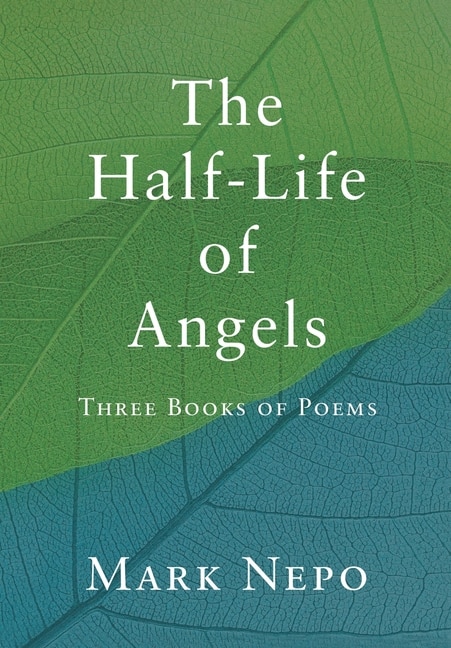 Front cover_The Half-Life of Angels