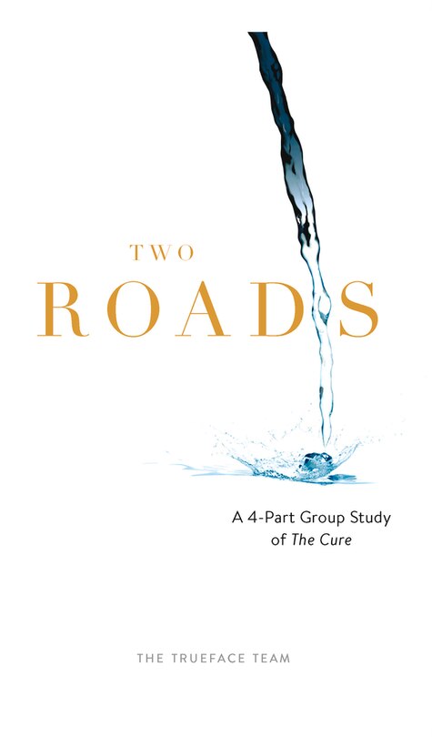 Two Roads: The Cure Group Study: A 4-part Study Of The Cure