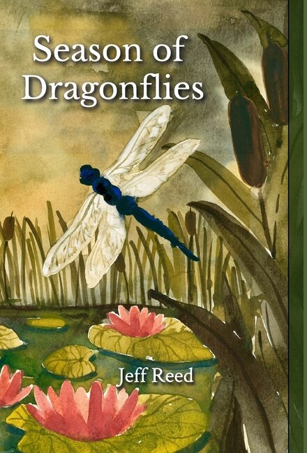 Couverture_Season of Dragonflies