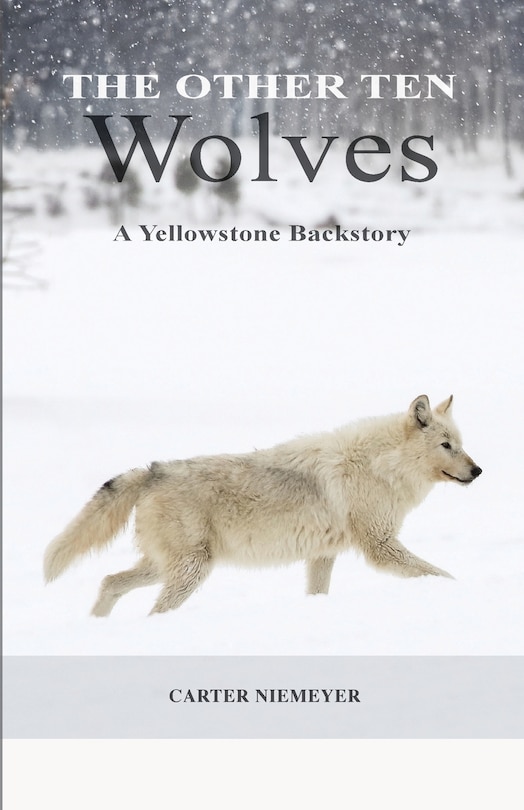 Couverture_The Other Ten Wolves