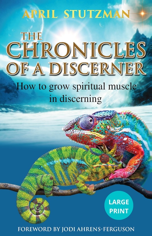 Couverture_The Chronicles Of A Discerner (Large Print)