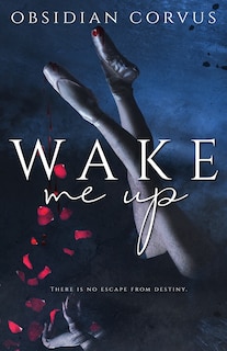 Couverture_Wake Me Up