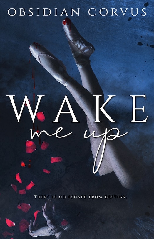 Couverture_Wake Me Up