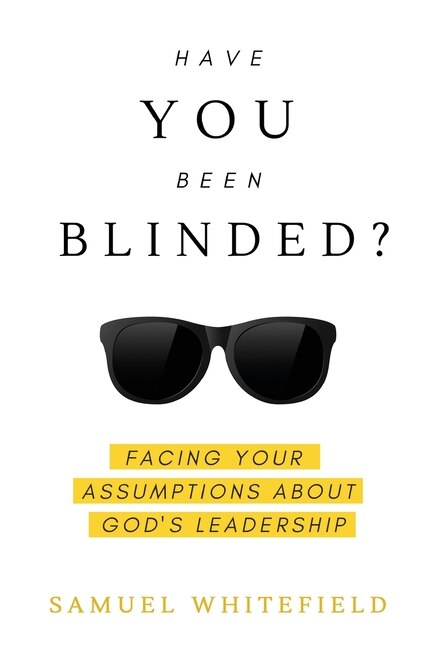 Front cover_Have You Been Blinded?