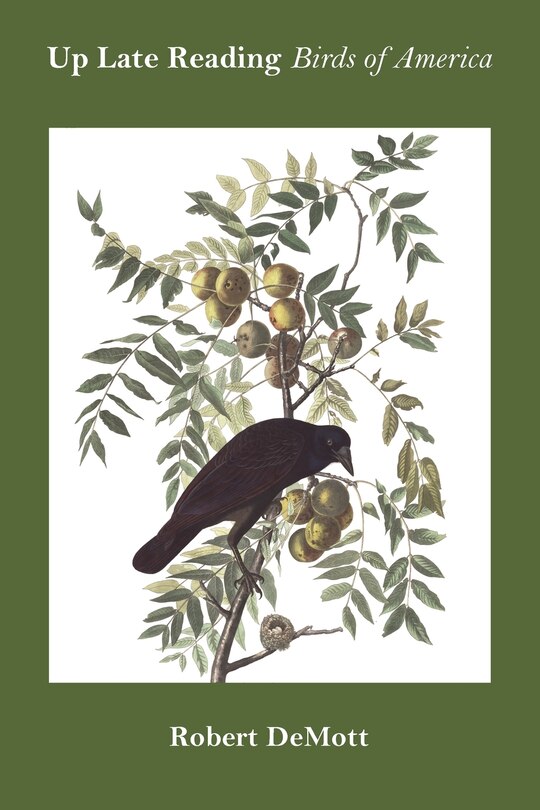 Front cover_Up Late Reading Birds Of America