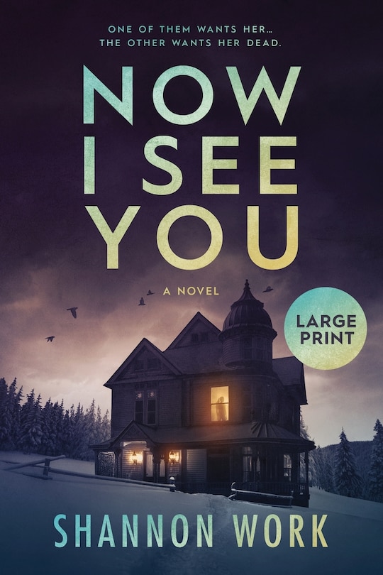 Front cover_Now I See You