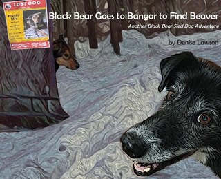 Front cover_Black Bear Goes To Bangor To Find Beaver