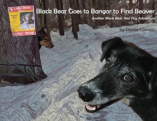 Front cover_Black Bear Goes to Bangor to Find Beaver
