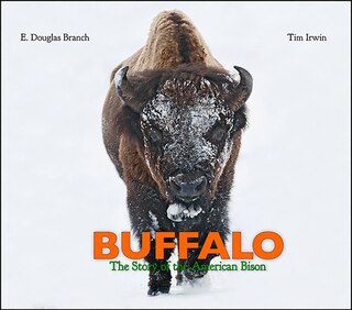 Buffalo: The Story Of The American Bison