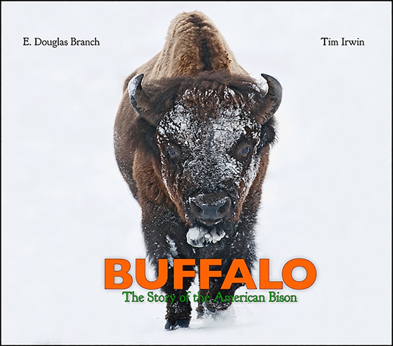 Buffalo: The Story Of The American Bison
