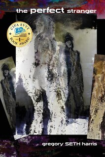 Front cover_The Perfect Stranger