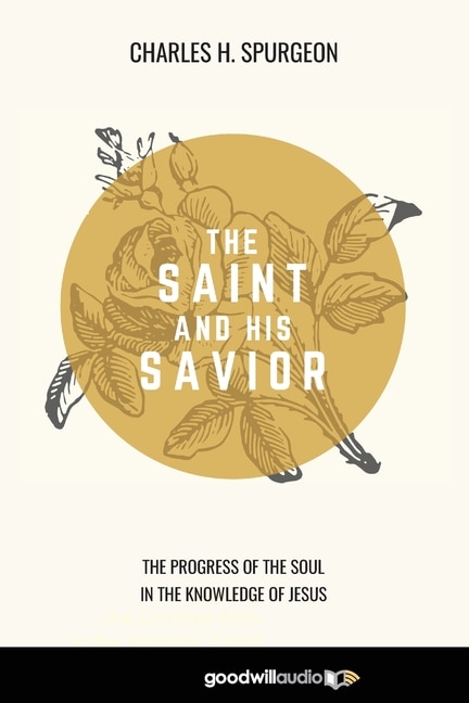 Couverture_The Saint and His Savior