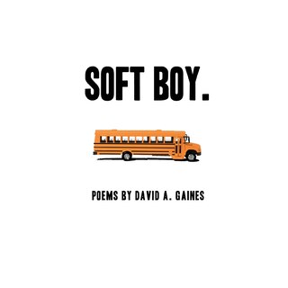Front cover_soft boy.