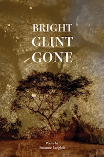Front cover_Bright Glint Gone