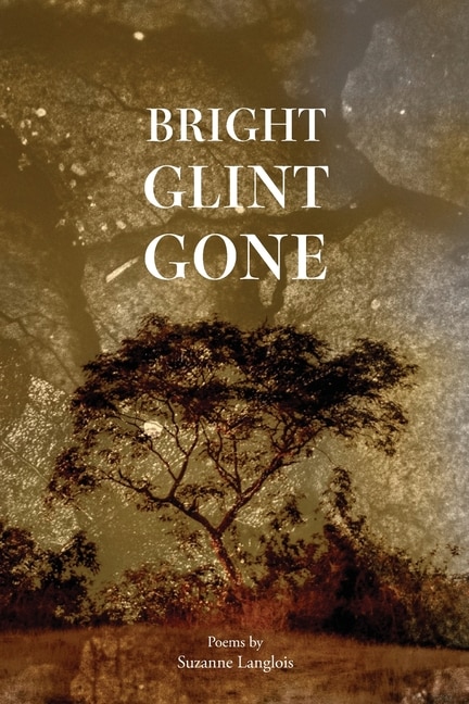Front cover_Bright Glint Gone