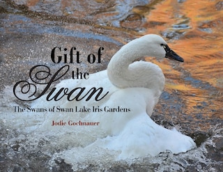 Couverture_Gift of the Swan