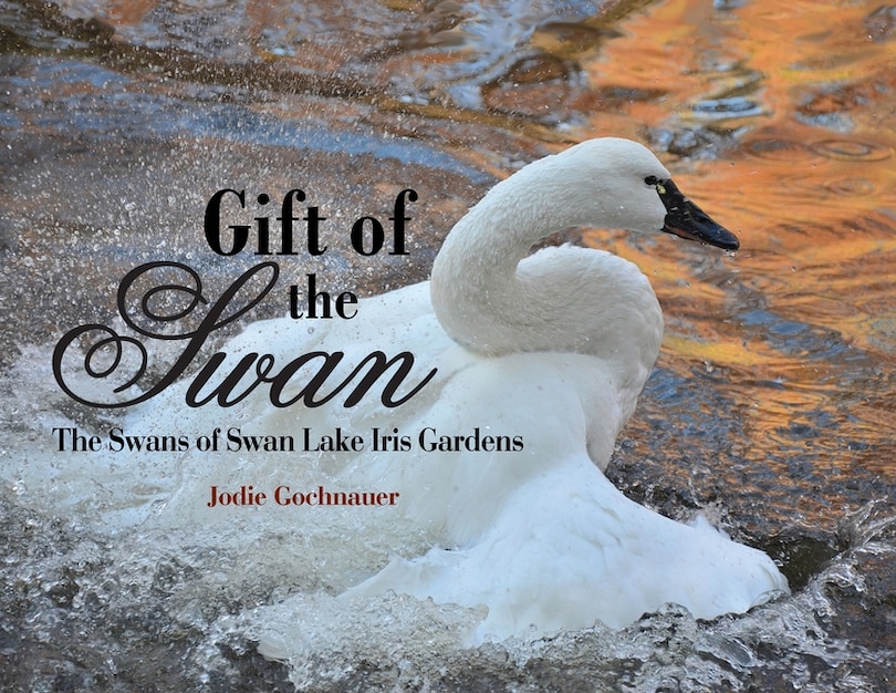 Couverture_Gift of the Swan