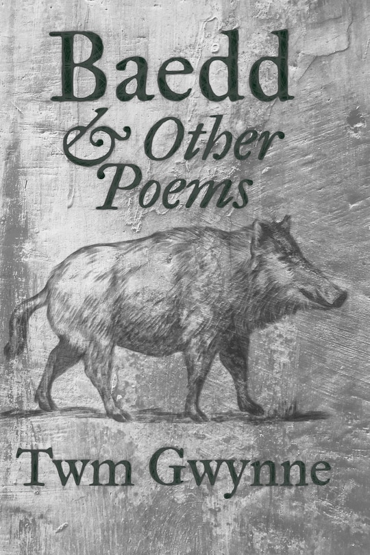 Couverture_Baedd and Other Poems