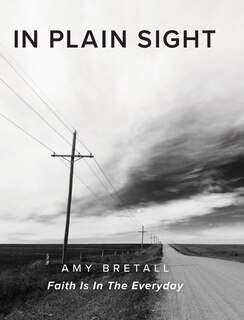 Couverture_In Plain Sight