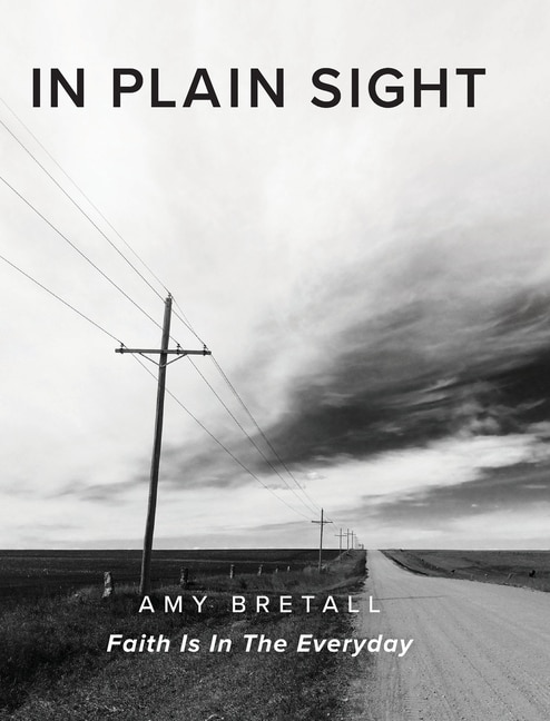 Couverture_In Plain Sight