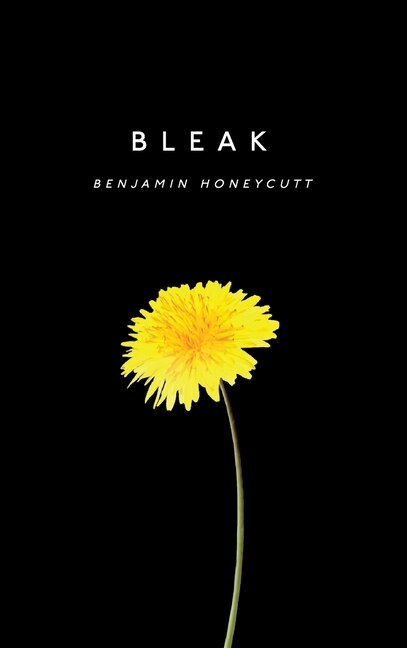 Front cover_Bleak