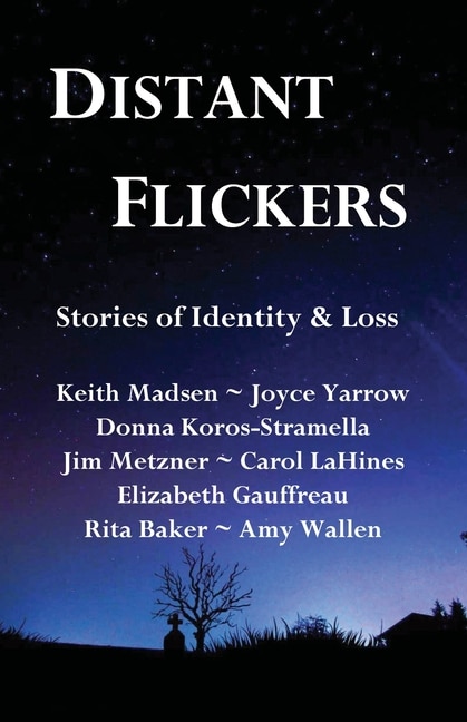 Couverture_Distant Flickers