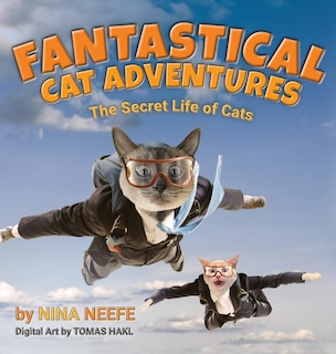 Couverture_Fantastical Cat Adventures