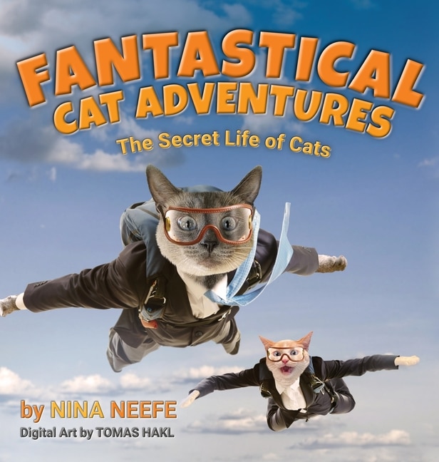 Couverture_Fantastical Cat Adventures