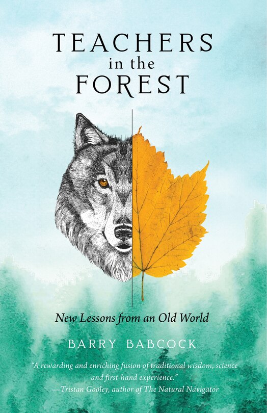 Front cover_Teachers in the Forest