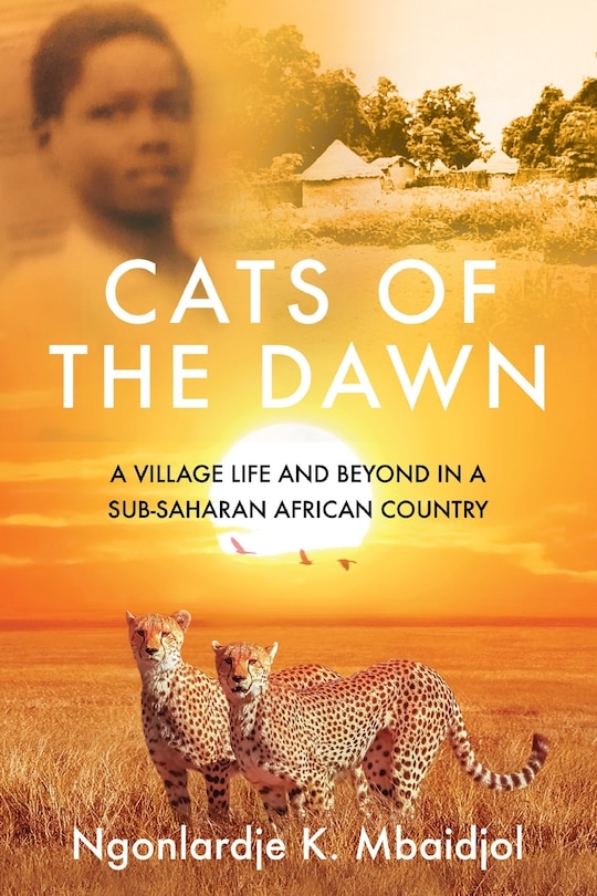 Front cover_Cats Of The Dawn