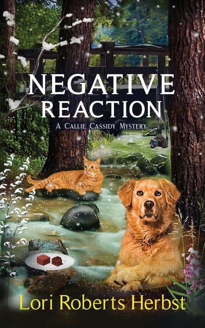 Front cover_Negative Reaction