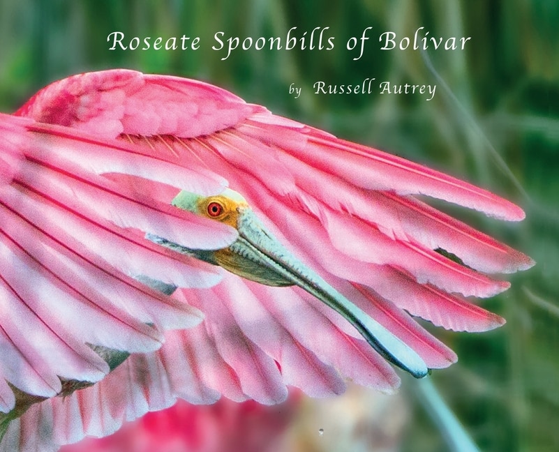 Front cover_Roseate Spoonbills of Bolivar