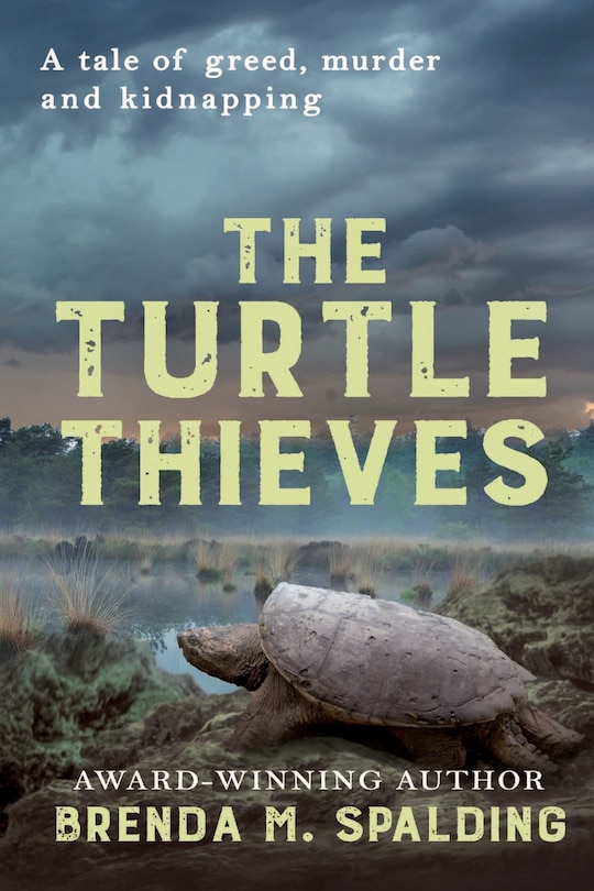 Couverture_The Turtle Thieves