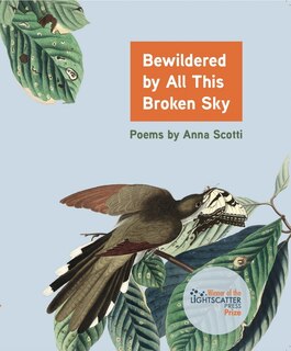 Couverture_Bewildered by All This Broken Sky
