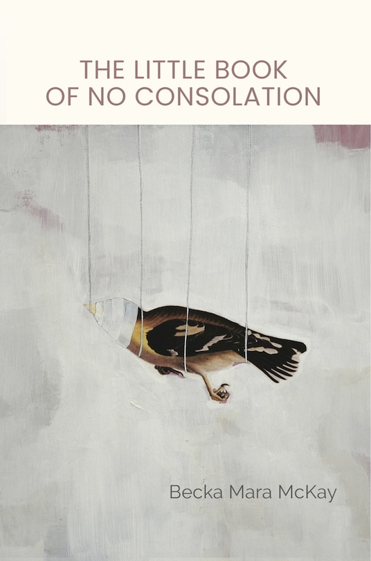 Couverture_The Little Book of No Consolation