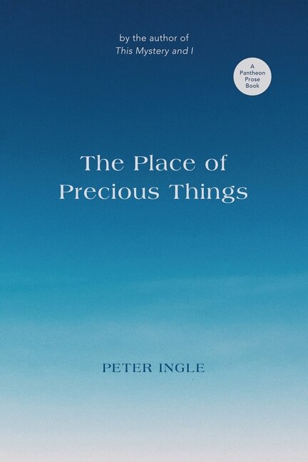 Couverture_The Place of Precious Things