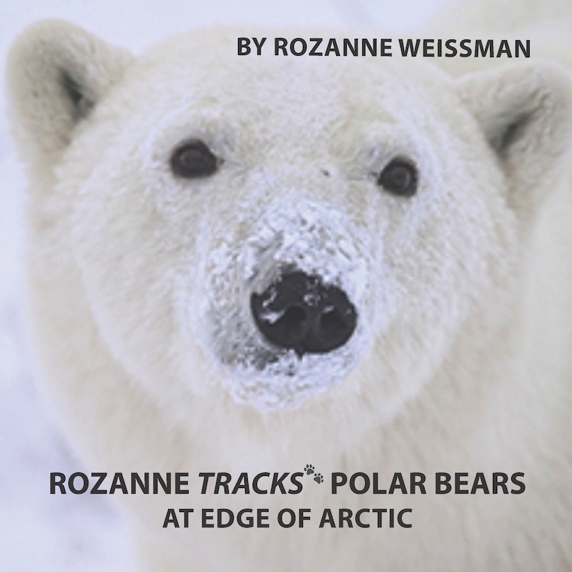 Front cover_Rozanne Tracks Polar Bears at Edge of Arctic