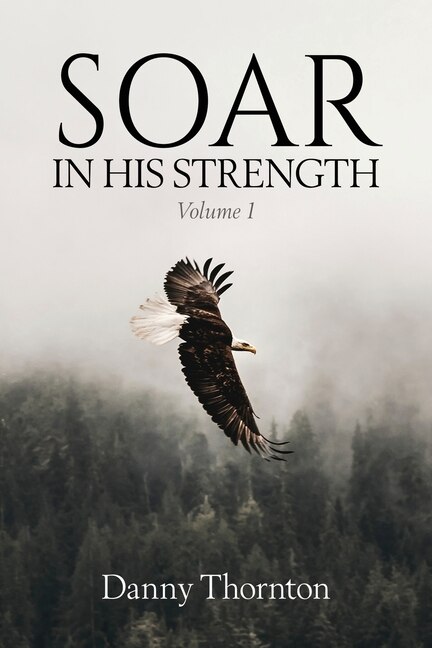 Couverture_Soar in His Strength