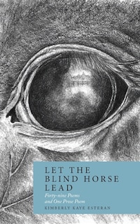 Front cover_Let the Blind Horse Lead
