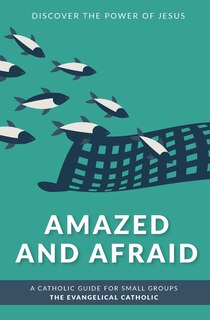 Front cover_Amazed and Afraid
