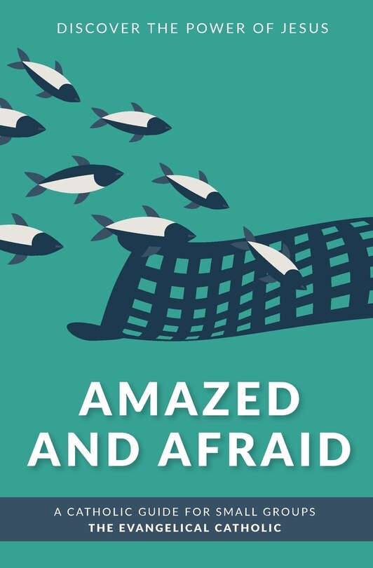Front cover_Amazed and Afraid