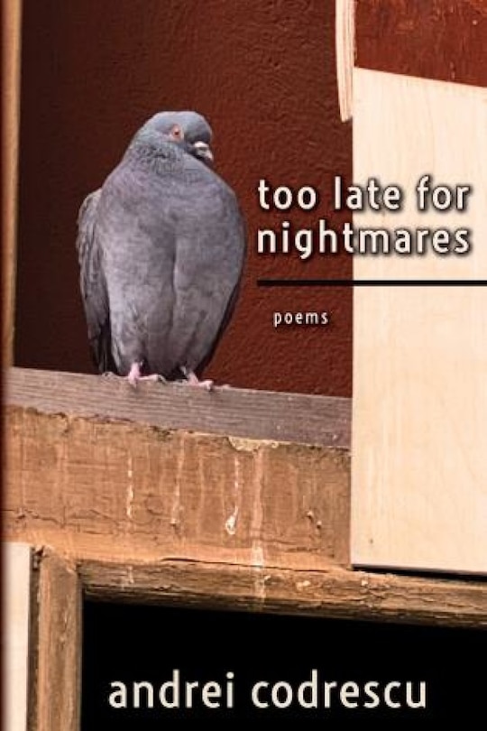 Front cover_Too Late For Nightmares