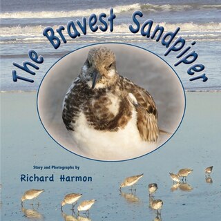 Front cover_The Bravest Sandpiper