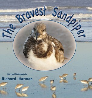 Couverture_The Bravest Sandpiper