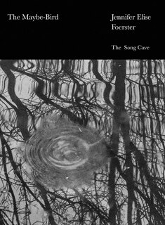 Front cover_The Maybe-Bird