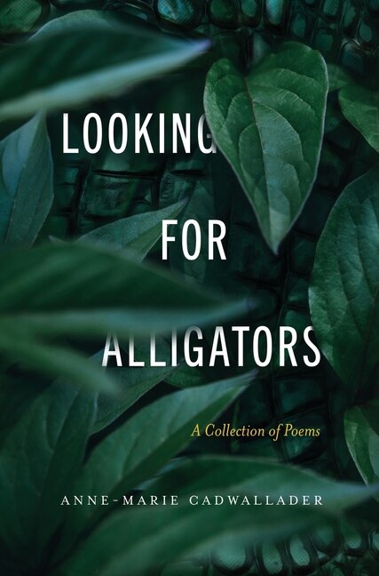 Couverture_Looking For Alligators